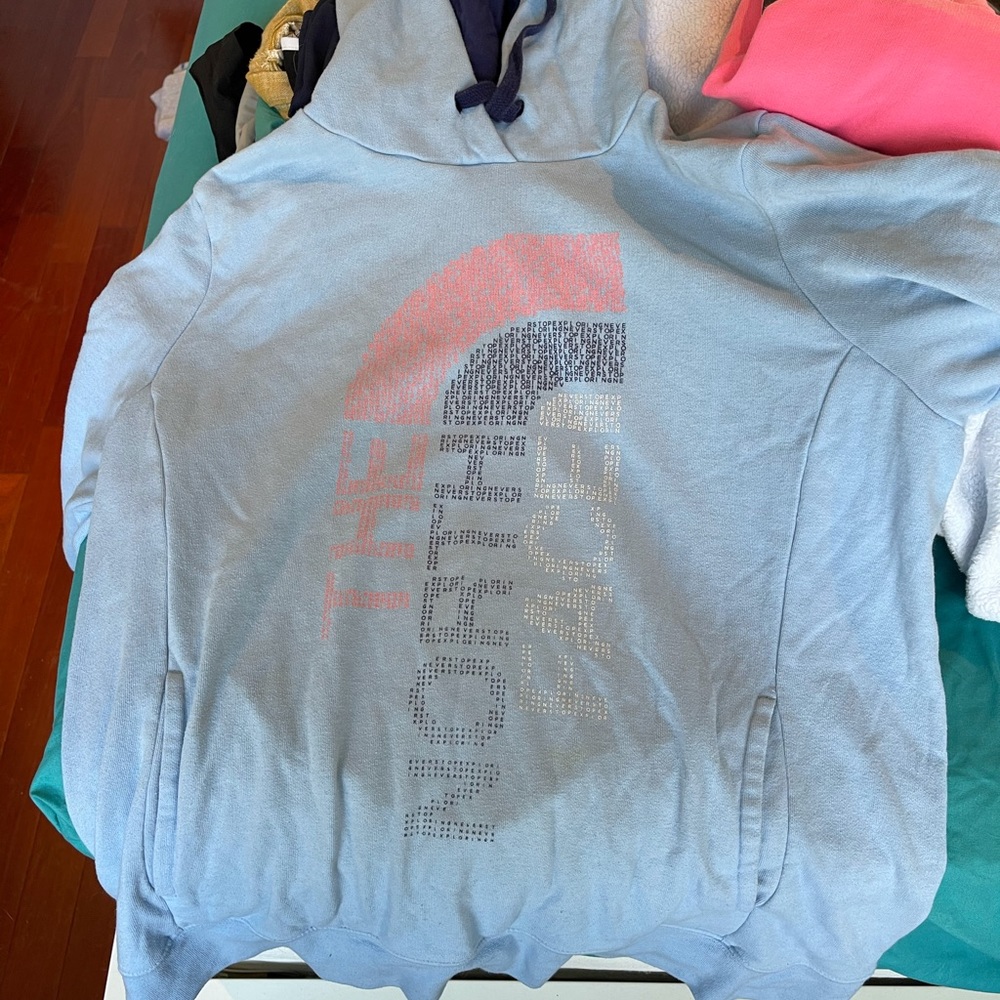 The North Face Hoodie